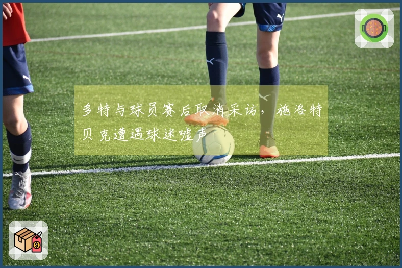 多特与球员赛后取消采访，施洛特贝克遭遇球迷嘘声