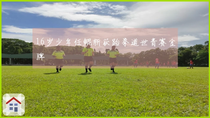 16岁少年任鲲斩获跆拳道世青赛金牌