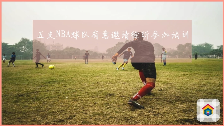 五支NBA球队有意邀请徐昕参加试训