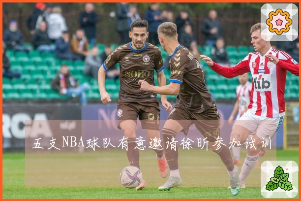 五支NBA球队有意邀请徐昕参加试训