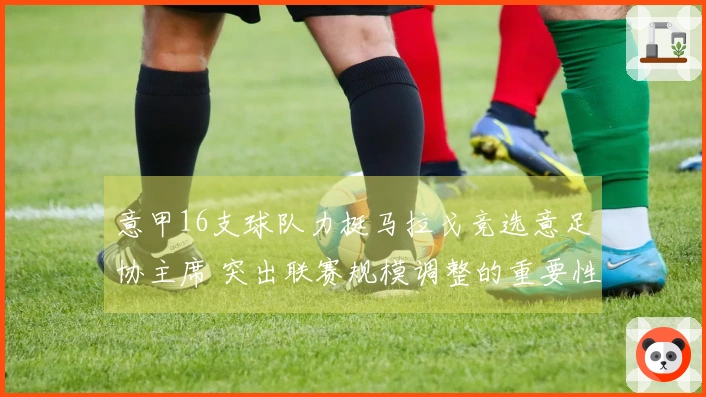 意甲16支球队力挺马拉戈竞选意足协主席 突出联赛规模调整的重要性